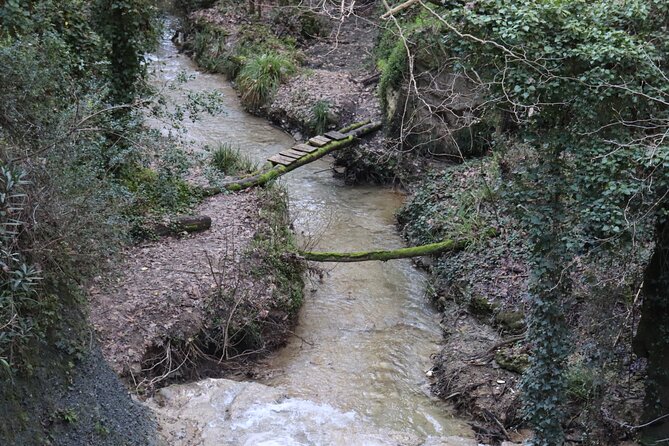Half-Day River Trekking Stenosia from Kalamata - Is four to six hours accurate?