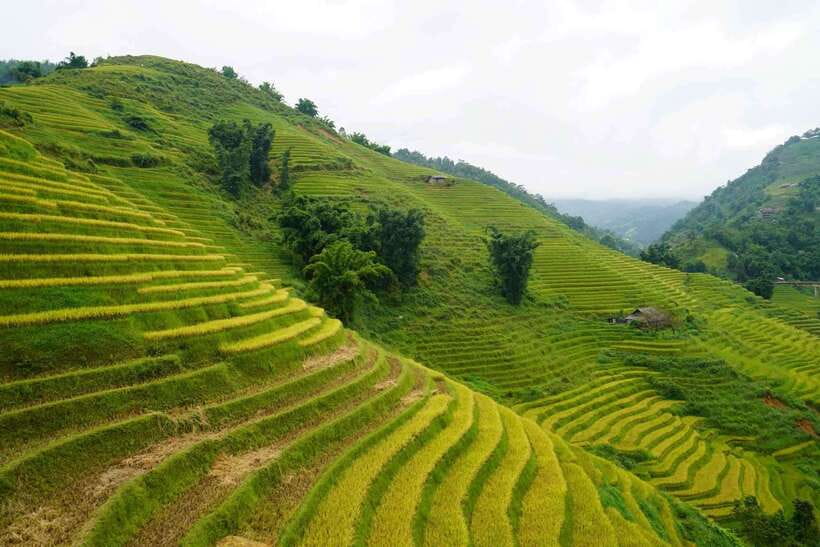 Half Day Sapa Trekking to Visit Lao Chai - Ta Van - Key points before you book