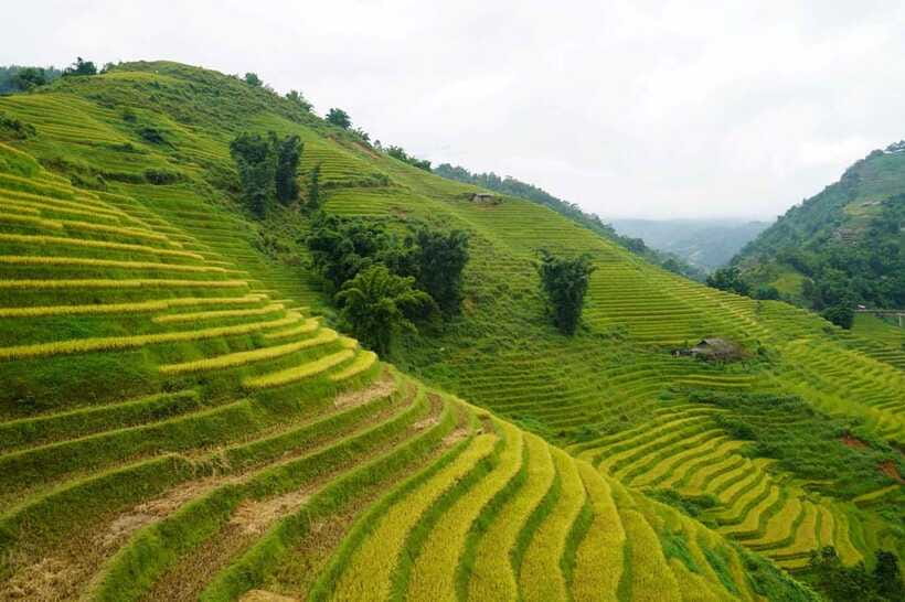 Half Day Sapa Trekking to Visit Lao Chai - Ta Van - Guides make the difference