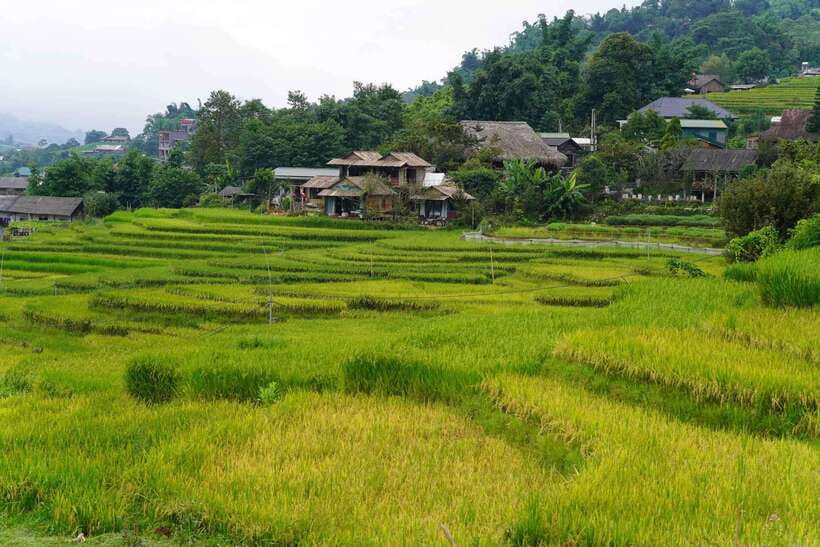 Half Day Sapa Trekking to Visit Lao Chai - Ta Van - Transport and timing from 8:10 to noon