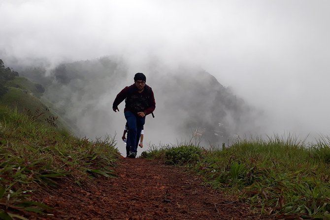 half day trekking - Tea Plantations With a Human Story