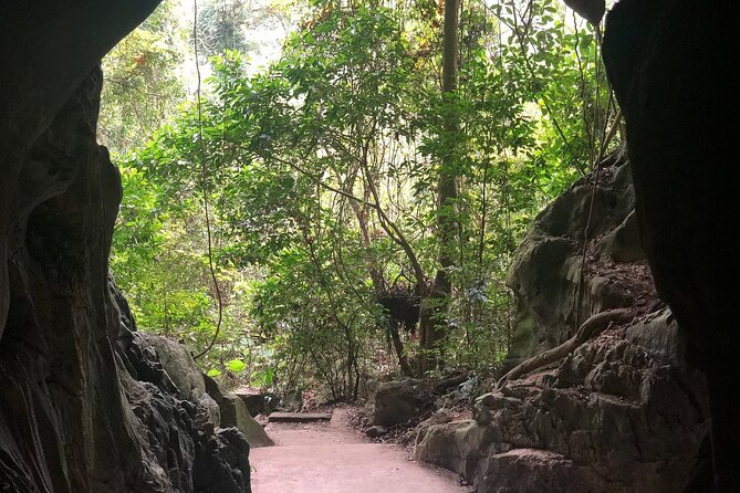 Half Day Trekking Cat Ba National Park - The coastal road and Sightseeing Tower