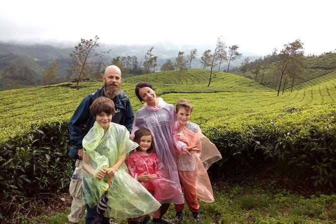 Half Day Trekking In Munnar - Grasslands bring open views