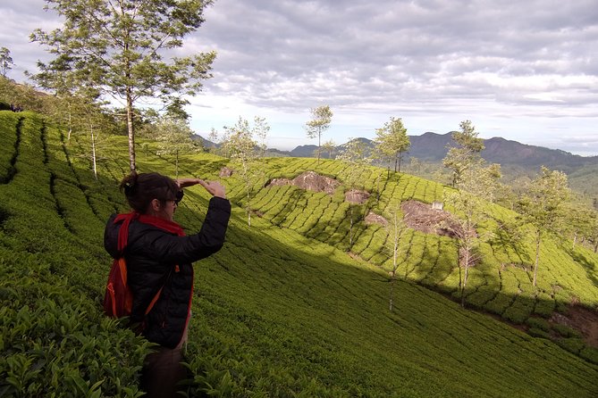 Half day trekking (munnar valley Trekking & Tours ) - Is $8 good value for six hours?