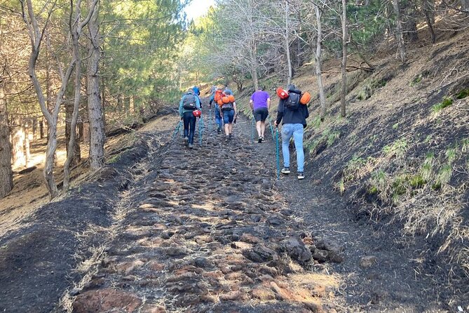 Half day Trekking Tour on Etna - A tasting at Oro d’Etna