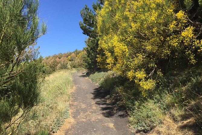 Half day Trekking Tour on Etna - Is $126.76 a fair price?