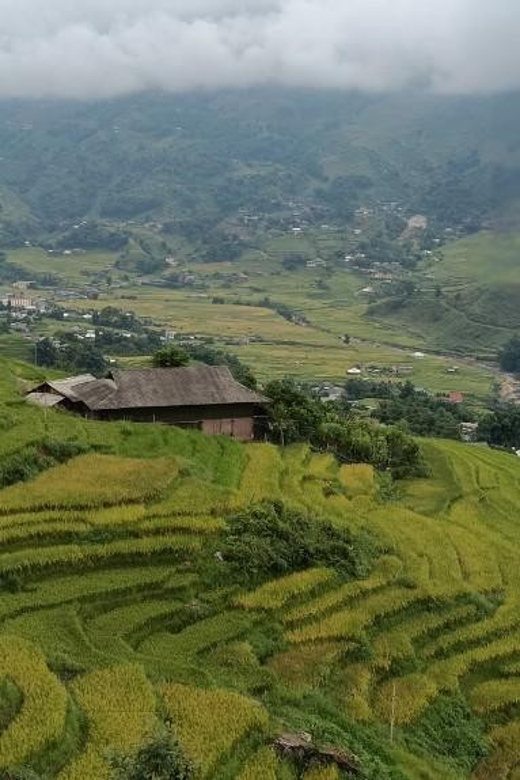 Half Day Visit Y Linh Ho,Lao Chai,Ta Van Trekking With Lunch - The essential points before you book