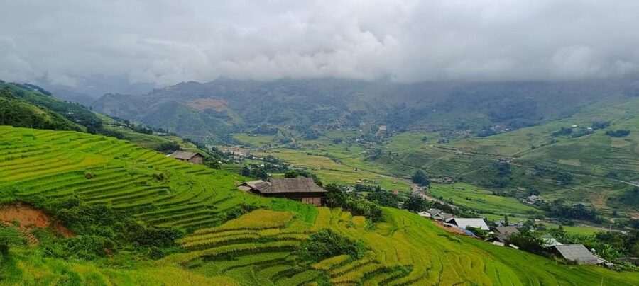 Half Day Visit Y Linh Ho,Lao Chai,Ta Van Trekking With Lunch - Who will enjoy this experience most