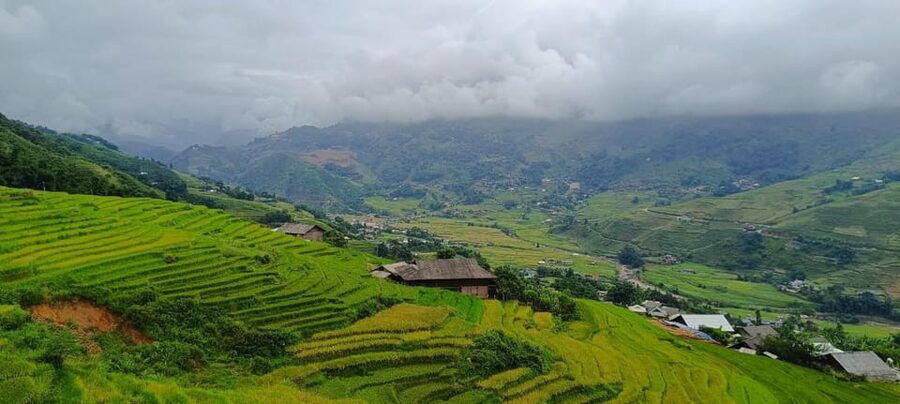 Half Day Visit Y Linh Ho,Lao Chai,Ta Van Trekking With Lunch - Why this Sapa trek is worth your morning