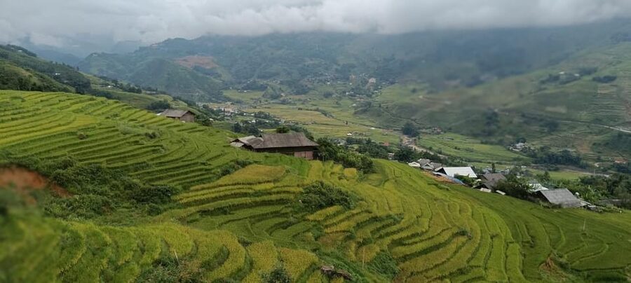Half Day Visit Y Linh Ho,Lao Chai,Ta Van Trekking With Lunch - Lao Chai and the Black Hmong village