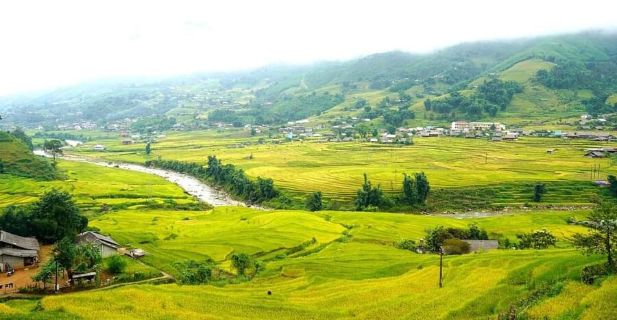 Half Day Visit Y Linh Ho,Lao Chai,Ta Van Trekking With Lunch - What the $23 price really gives you