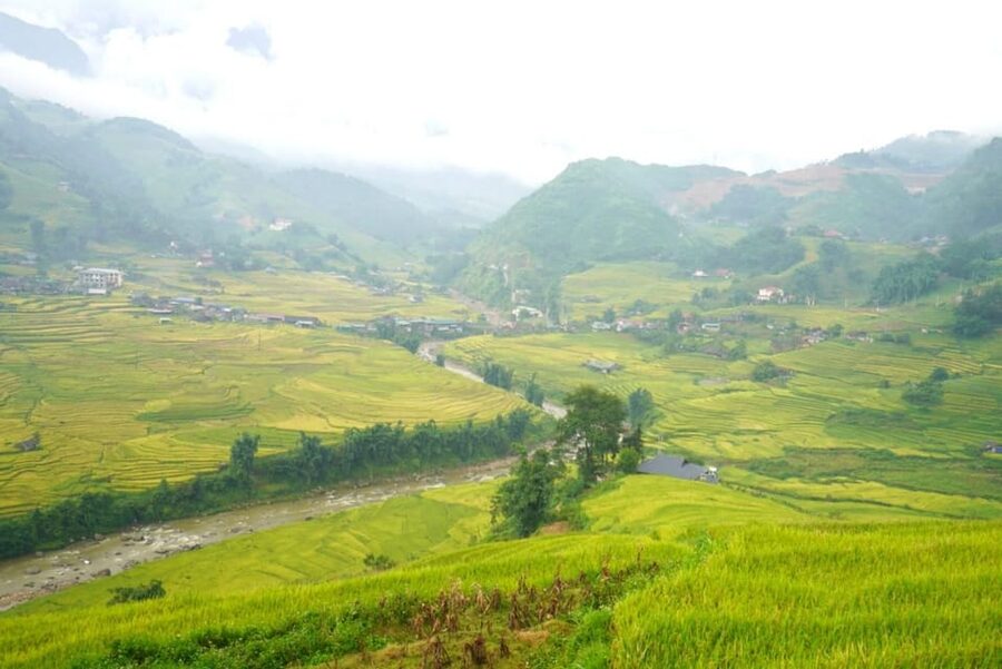 Half Day Visit Y Linh Ho,Lao Chai,Ta Van Trekking With Lunch - Starting in Sapa at 7:45