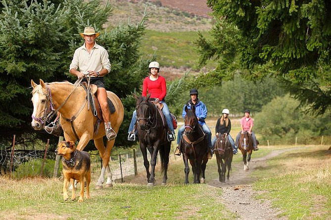 Half Day Walter Peak Horse Trek and Cruise from Queenstown - The Horse Trek: Slow, Safe, and Scenic