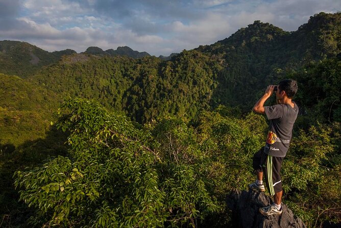 Halfday trekking Cat Ba Butterfly valley (more intense) - What the four-hour schedule really involves