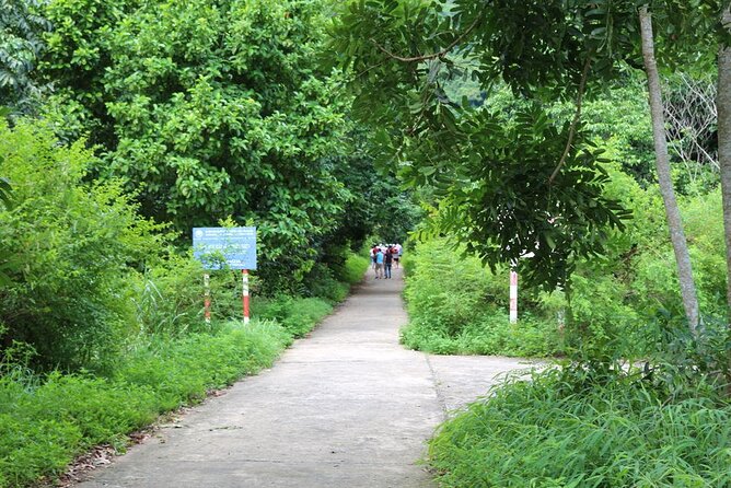 Halfday trekking Cat Ba Butterfly valley (more intense) - The view at the top is the payoff