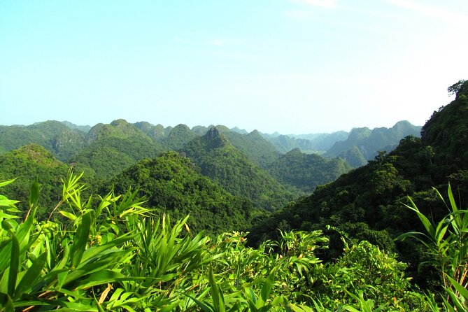 Halfday trekking Cat Ba Butterfly valley (more intense) - Is $30 a fair price?