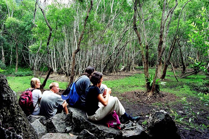 Halfday trekking Cat Ba Butterfly valley (more intense) - Butterfly Valley: more than a photo stop