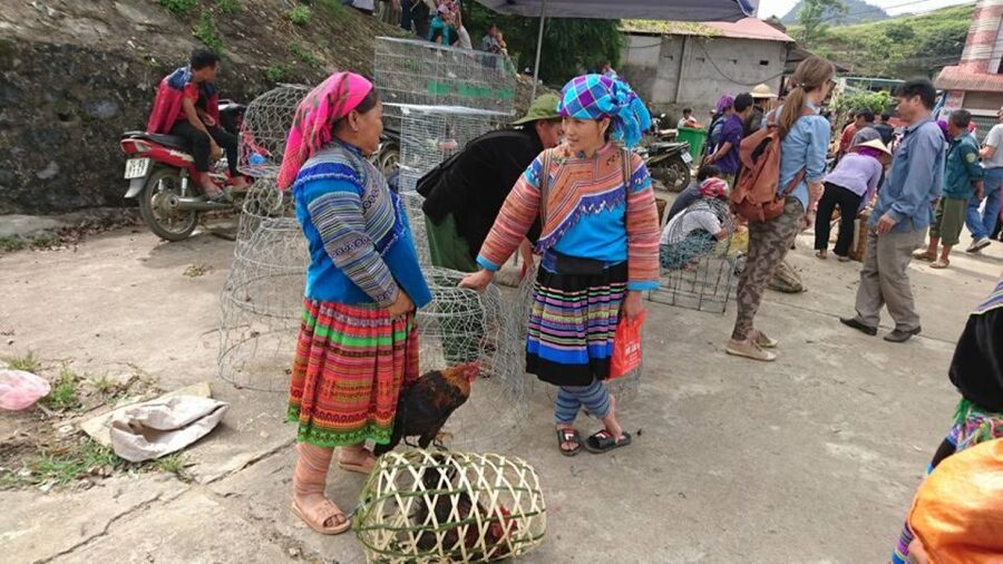 Hanoi: 2-Day Sa Pa Guided Village & Homestay Trekking Tour - Who should book this tour?