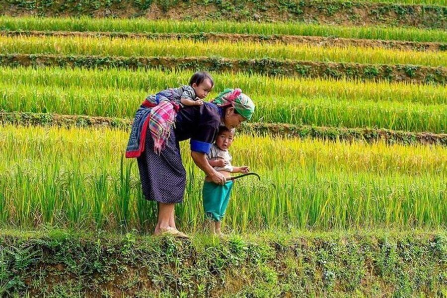 Hanoi: 2-Day Sa Pa Guided Village & Homestay Trekking Tour - Ta Van village and the Dzay homestay