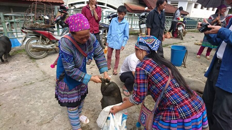 Hanoi: 2-Day Sa Pa Guided Village & Homestay Trekking Tour - Guides make a major difference here