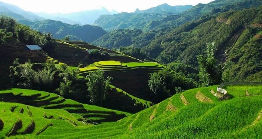 Hanoi: 2-Day Sa Pa Guided Village & Homestay Trekking Tour - Y Linh Ho to Lao Chai: the best first look at Sa Pa