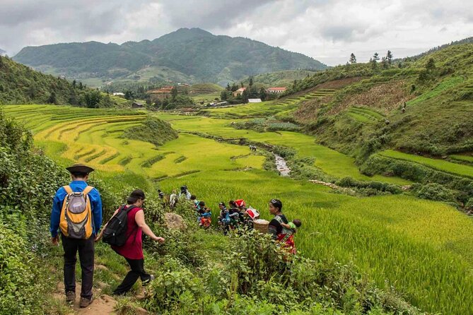 Hanoi- 2 Days Sapa moutain trekking with Local Guide and Homestay - Day two through bamboo forest and rice fields