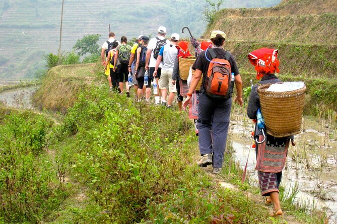 Hanoi- 2 Days Sapa moutain trekking with Local Guide and Homestay - Returning to Sapa and Hanoi