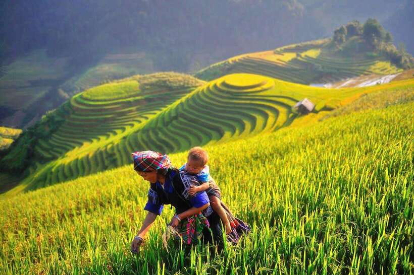 Hanoi: 3-Day Mu Cang Chai Trekking, Hidden Trail, Local Life - Day 3: Horseshoe Hill and the return to Hanoi