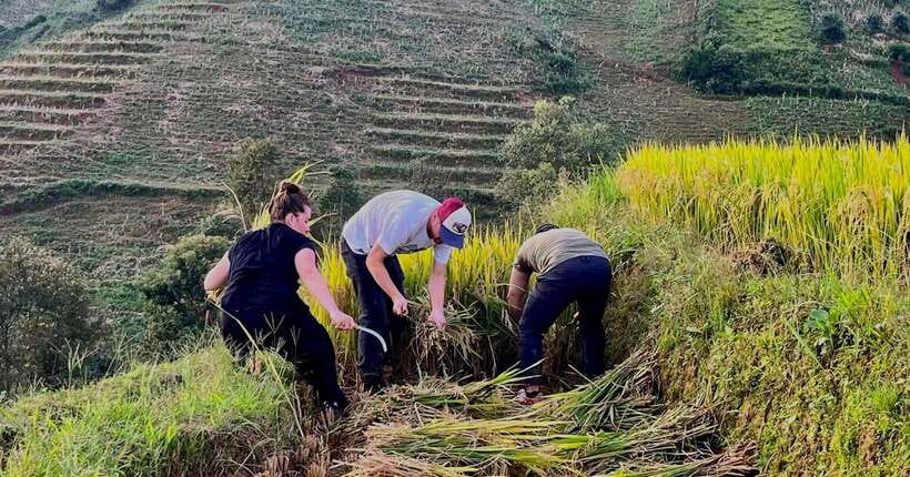 Hanoi: 3-Day Mu Cang Chai Trekking, Hidden Trail, Local Life - The guide and driver make a real difference