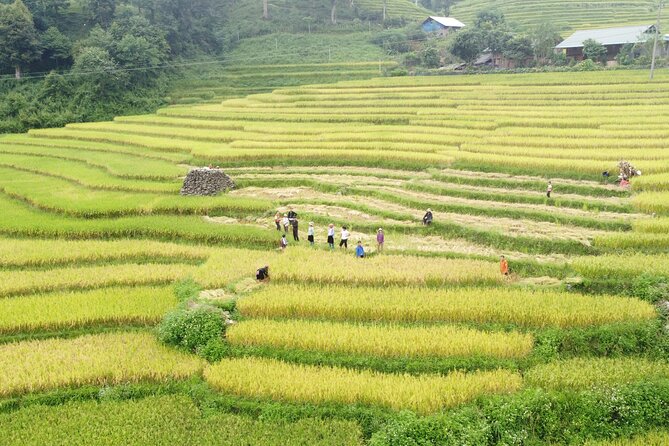 Hanoi - Sapa 2 Days 1 Night Overnight At Local Homestay - A short Sapa stop before the overnight bus