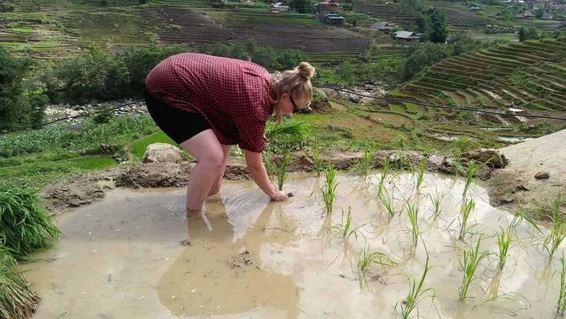 Hanoi- SaPa: 3-Day Homestay Trek to Explore Ethnic cultures - The overnight bus sets the tone