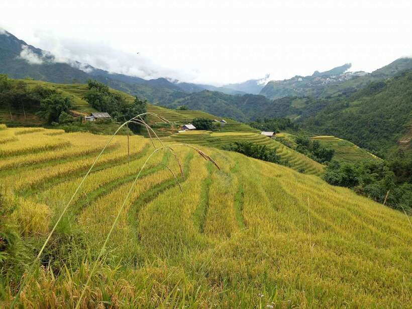 Hanoi- SaPa: 3-Day Homestay Trek to Explore Ethnic cultures - Day three: sunrise in Ban Ho and Nam Tong