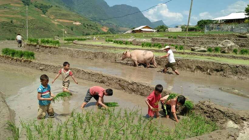 Hanoi- SaPa: 3-Day Homestay Trek to Explore Ethnic cultures - What the $139 price covers
