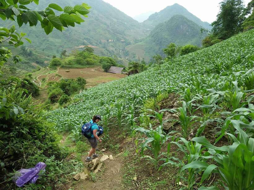 Hanoi- SaPa: 3-Day Homestay Trek to Explore Ethnic cultures - Who will enjoy this Sapa trek most