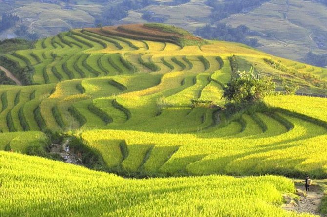Hanoi-Sapa Trek 2 days 2 nights and Homestay with small group - Reaching Cat Cat and the first mountain views