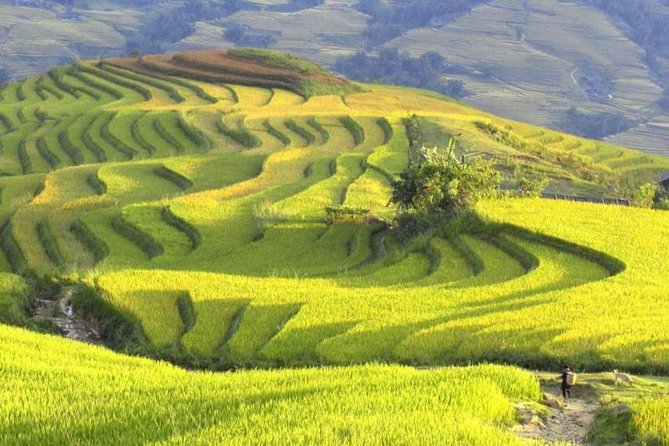 Hanoi-Sapa Trek 2 days 2 nights in Hotel with small group - Hotel comfort, homestay options, and what is included