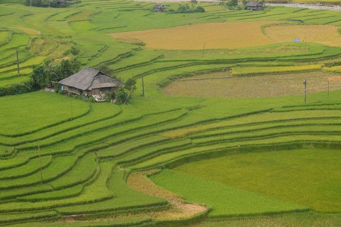 Hanoi-Sapa Trek 2 days 2 nights in Hotel with small group - Should you book the Hanoi to Sapa trek?