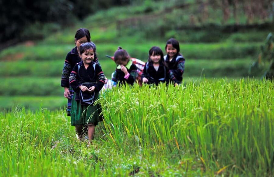 Hanoi: Sapa Trekking 2 Days 1 Night Overnight in Village - How hard is the trek?