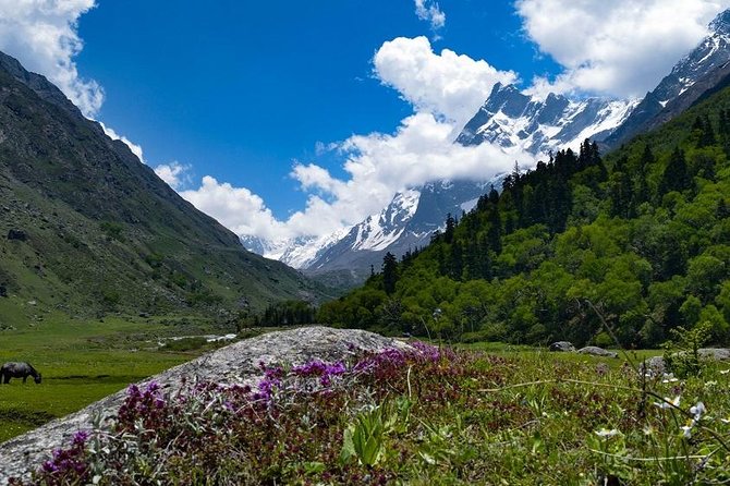 Har Ki dun Trek by Himalaya Shelter - What makes this trek worth considering