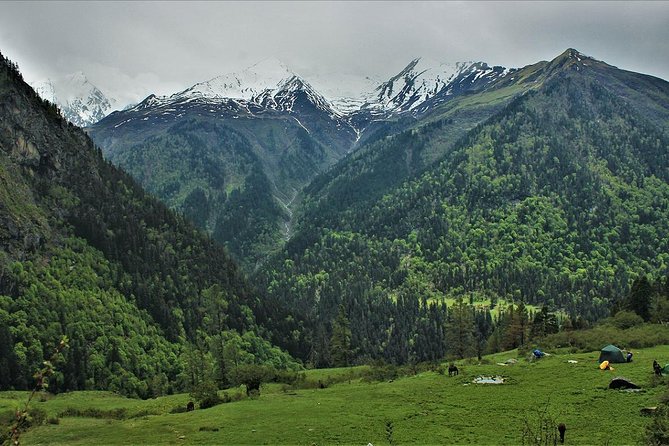 Har Ki dun Trek by Himalaya Shelter - Osla to Kalkatidhar: a shorter day at 3,300 meters