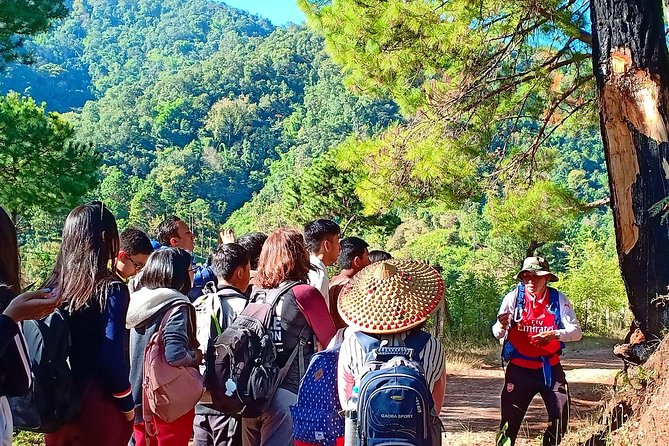 Hello, who like to make fantastic trek with the most experienced guide in Kalaw. - Key Points Before You Book