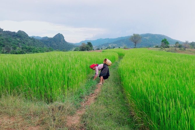 Hello, who like to make fantastic trek with the most experienced guide in Kalaw. - The Physical Challenge: About 20 Kilometers a Day