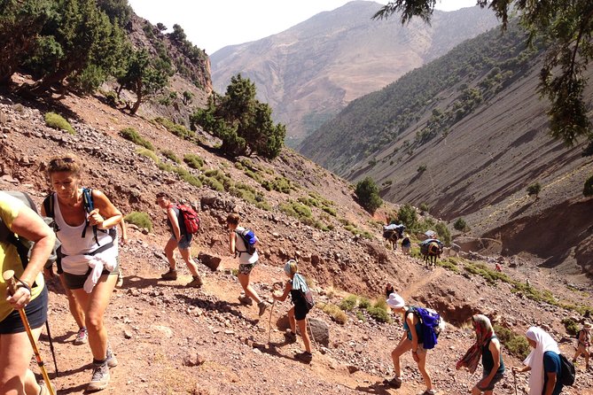 High Atlas Mountains Full Day Trek - Key points at a glance