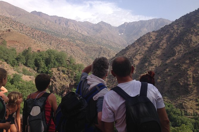High Atlas Mountains Full Day Trek - The climb to Tizi Mzik at 2,480 meters