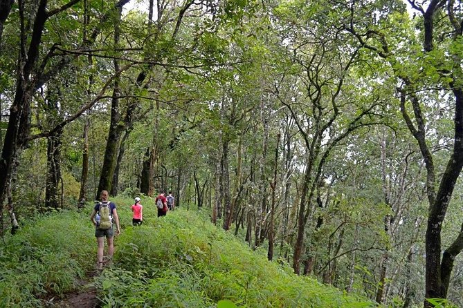 High Mountain Day Trek - Key points before you book