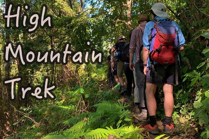 High Mountain Day Trek - What the guide adds to the forest