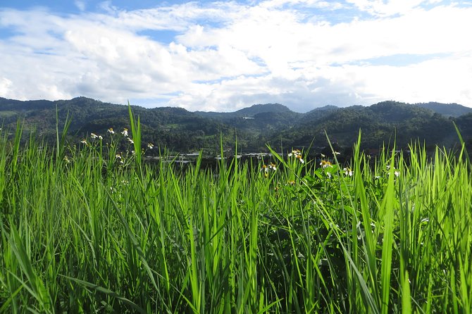 High Mountain Day Trek - Visiting the village for tea or coffee