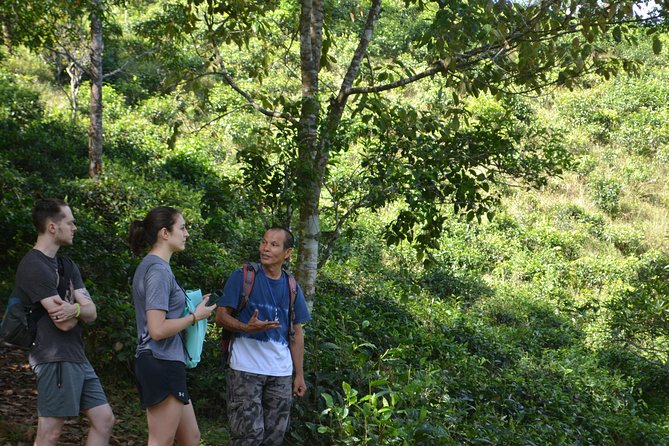 High Mountain Day Trek - What the $63 price includes