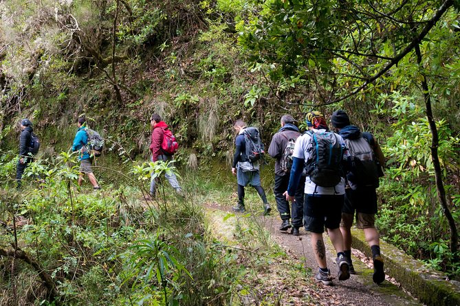 Hiking and Trekking tours in Madeira - Key points to know before booking
