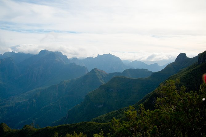 Hiking and Trekking tours in Madeira - Jorge’s role adds warmth to the outing